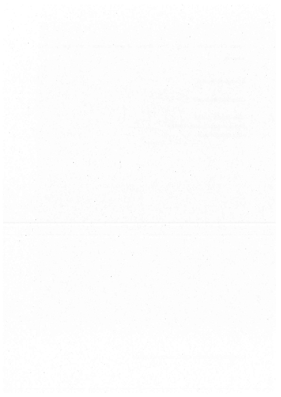 Pagina 4 del documento