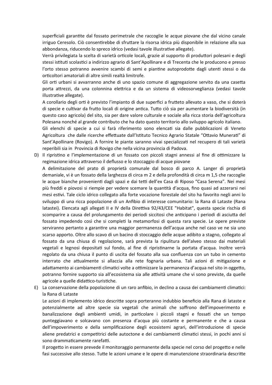 Pagina 3 del documento