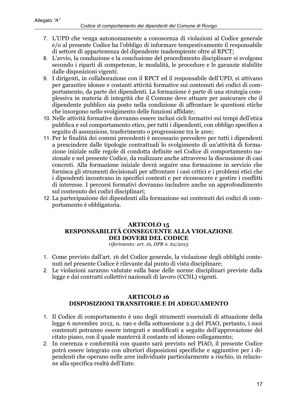 Pagina 17 del documento