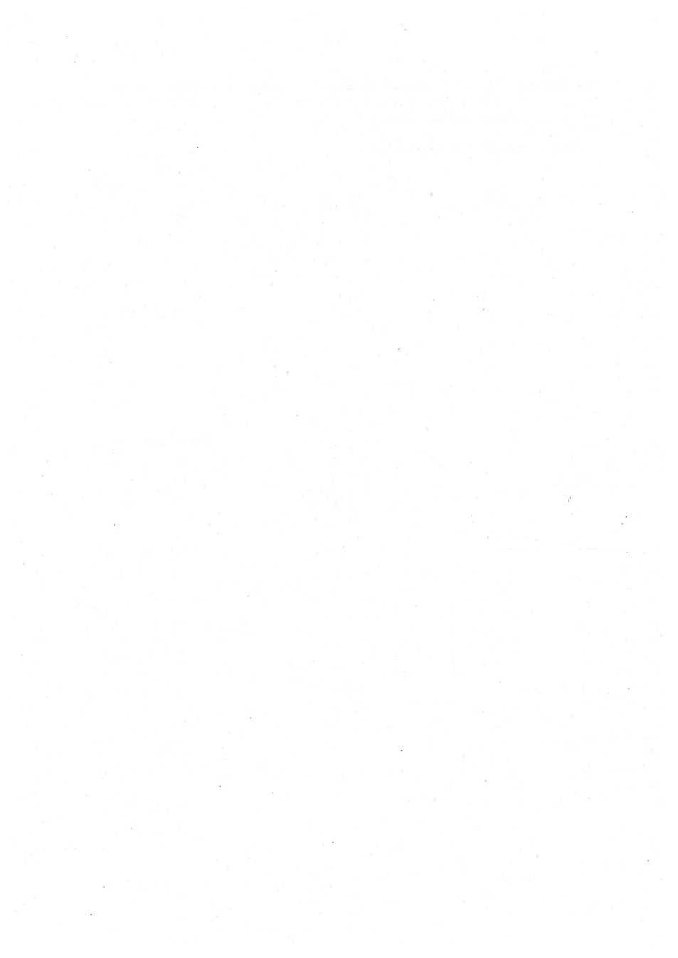 Pagina 4 del documento