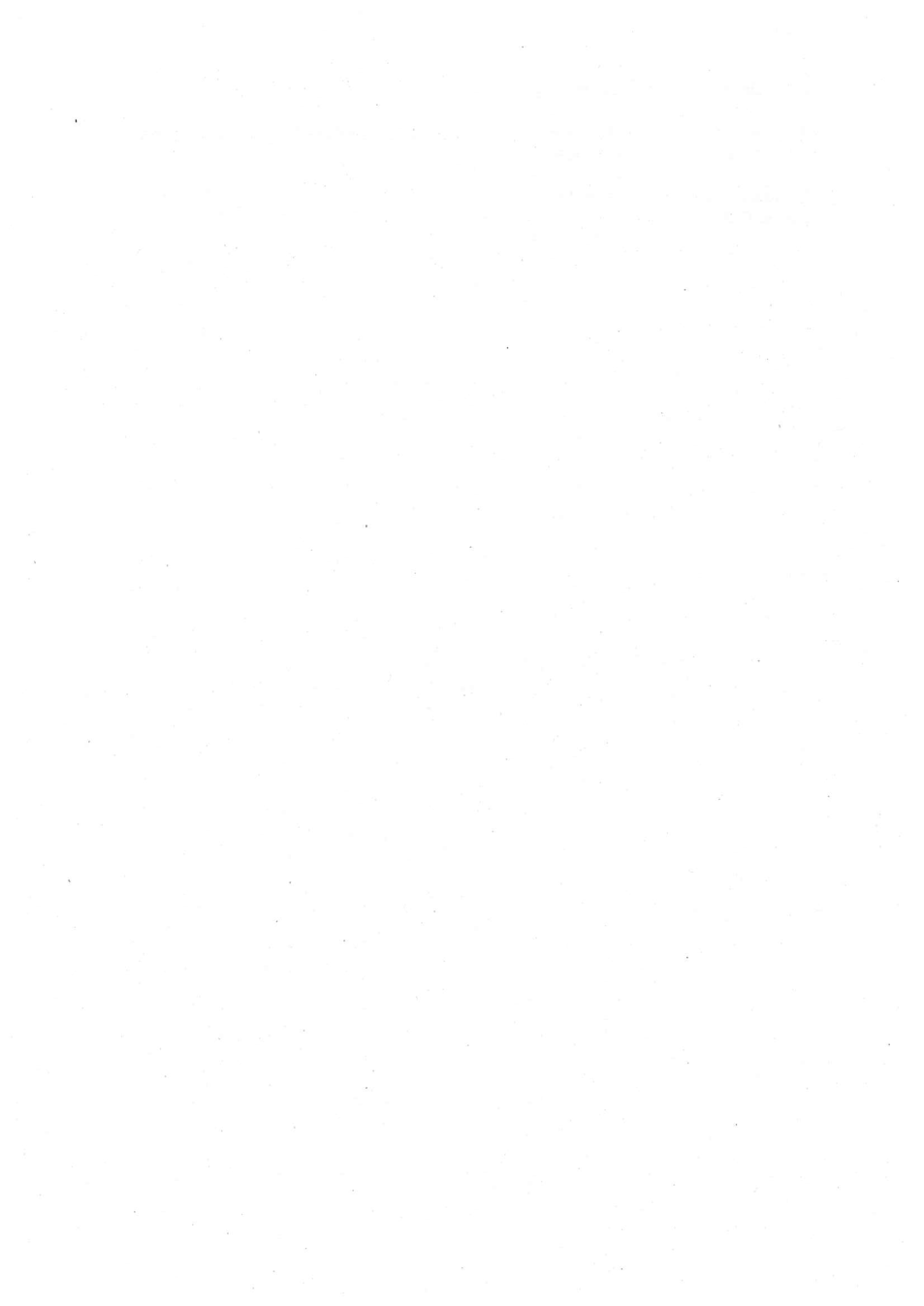 Pagina 6 del documento