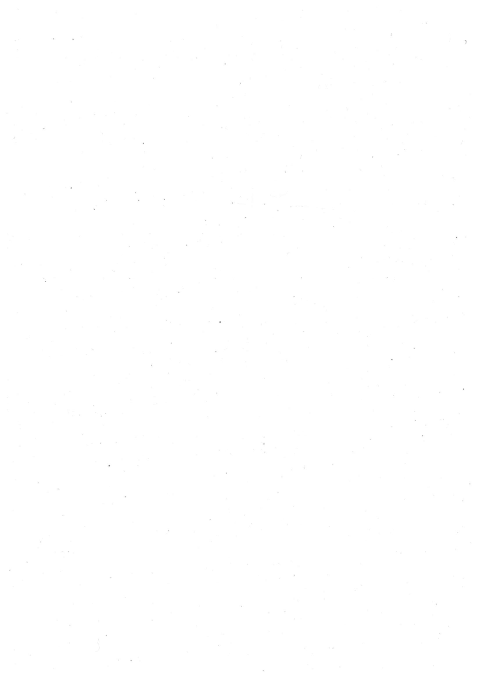 Pagina 4 del documento