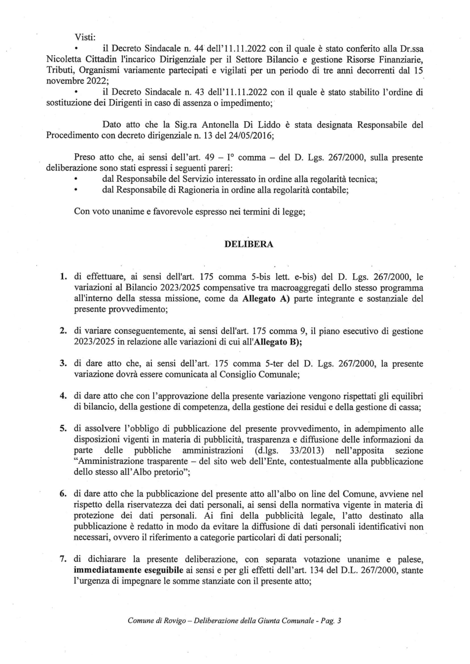 Pagina 3 del documento