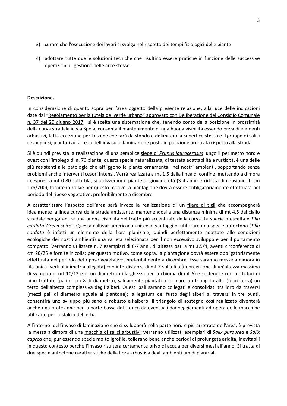 Pagina 3 del documento