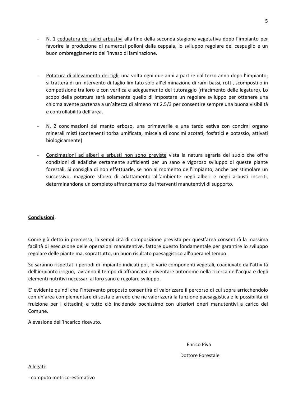 Pagina 5 del documento