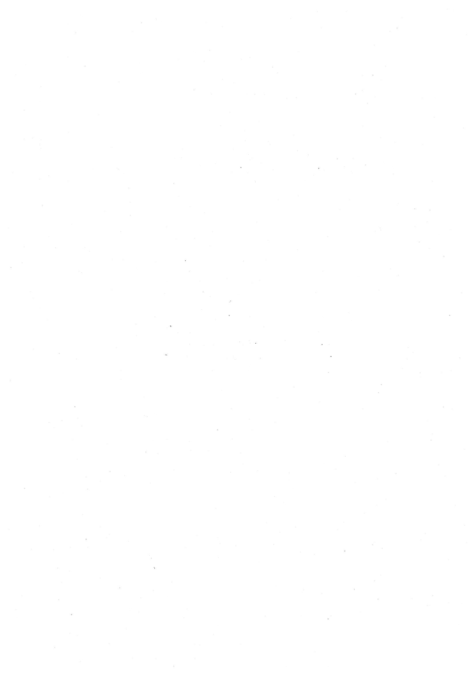 Pagina 6 del documento