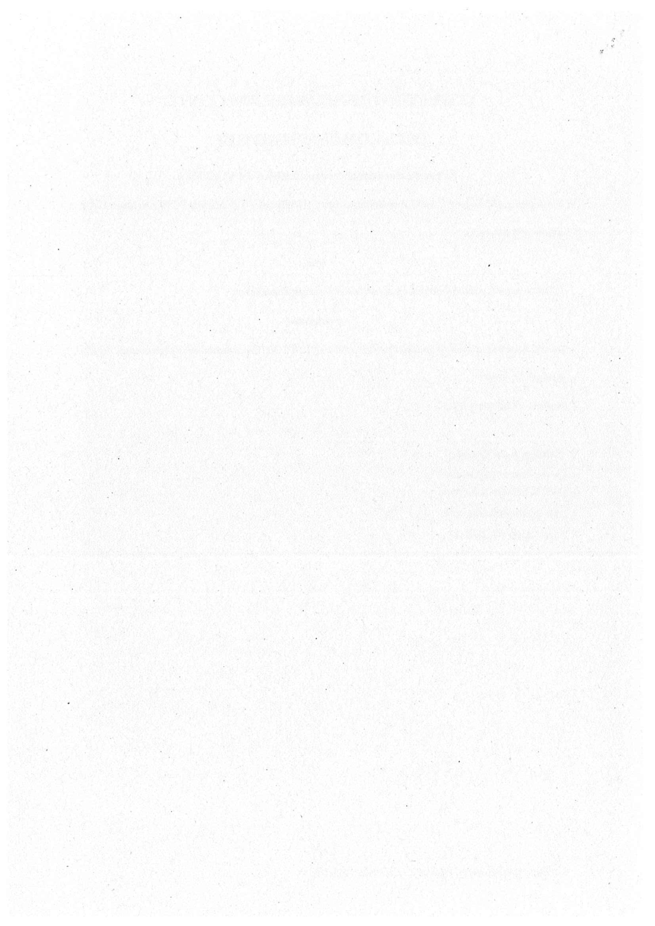 Pagina 4 del documento