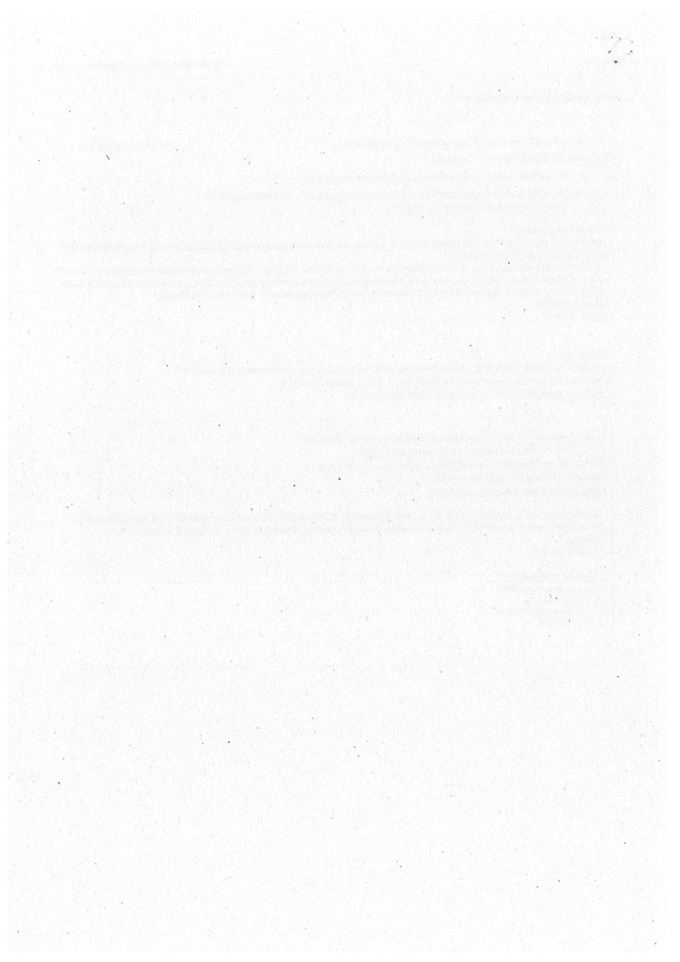 Pagina 4 del documento
