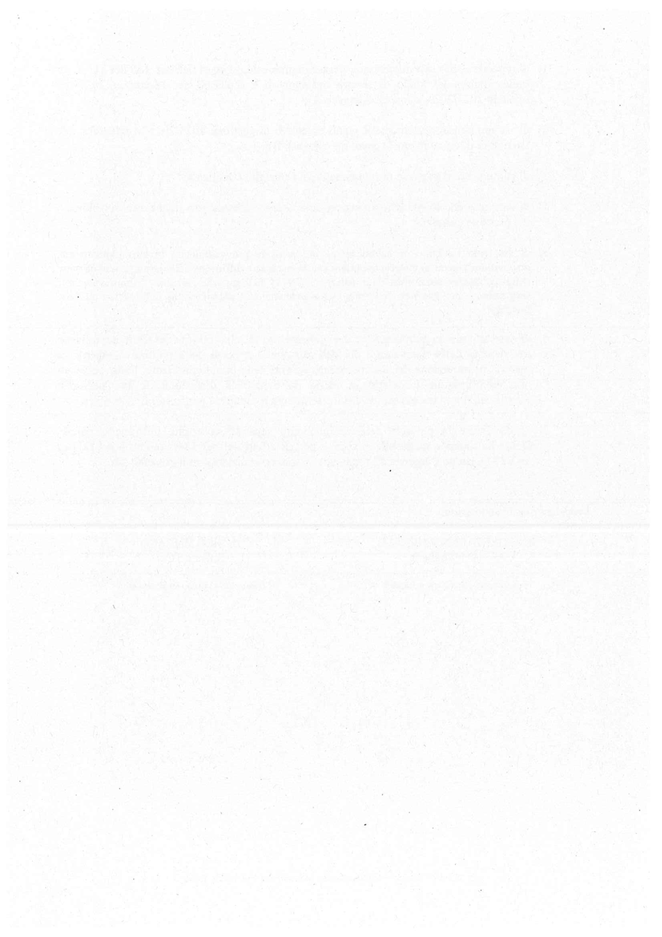 Pagina 4 del documento