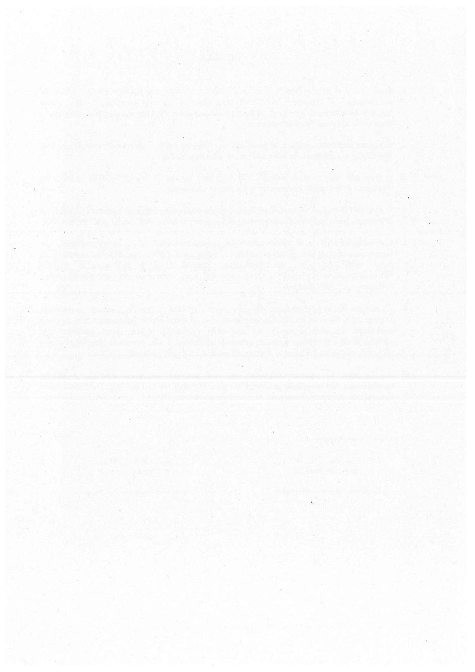 Pagina 4 del documento