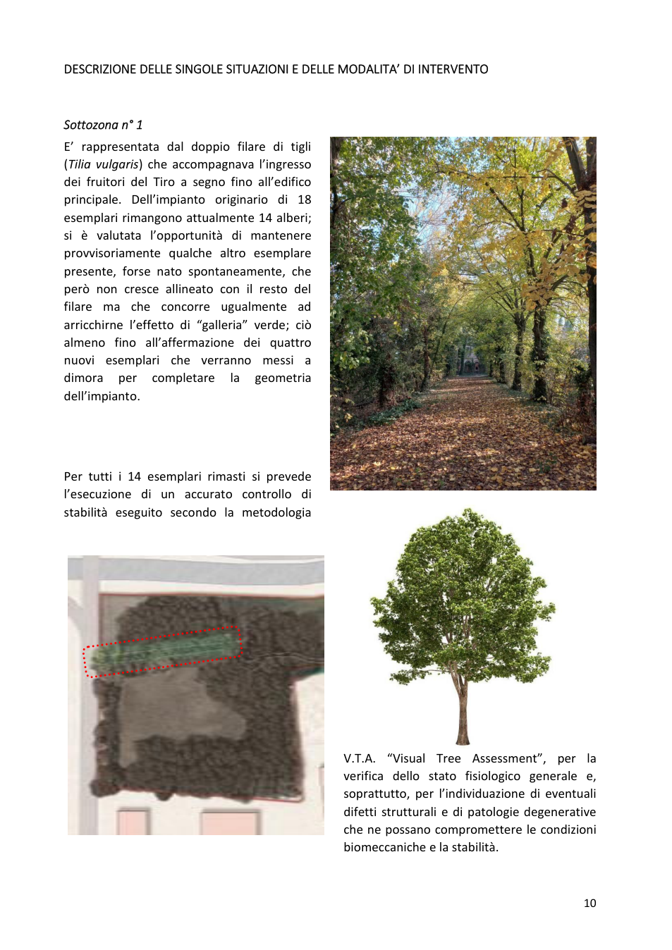 Pagina 10 del documento