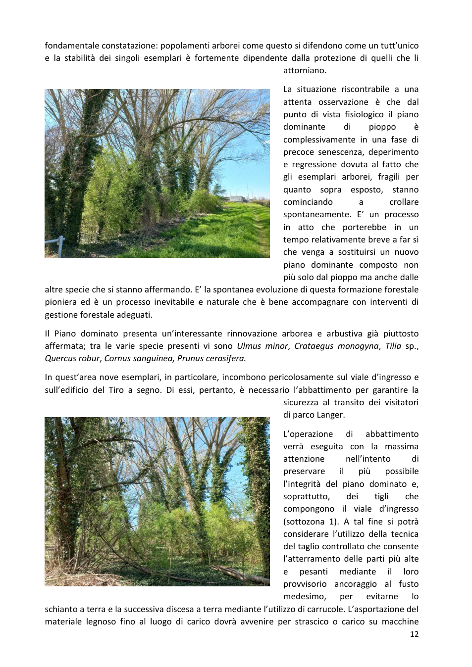 Pagina 12 del documento