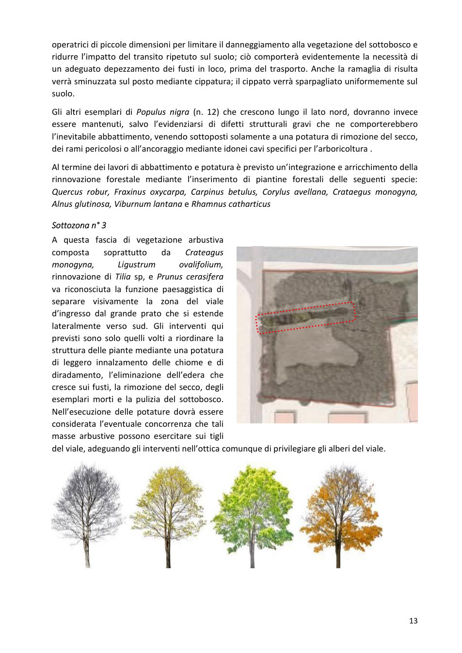 Pagina 13 del documento