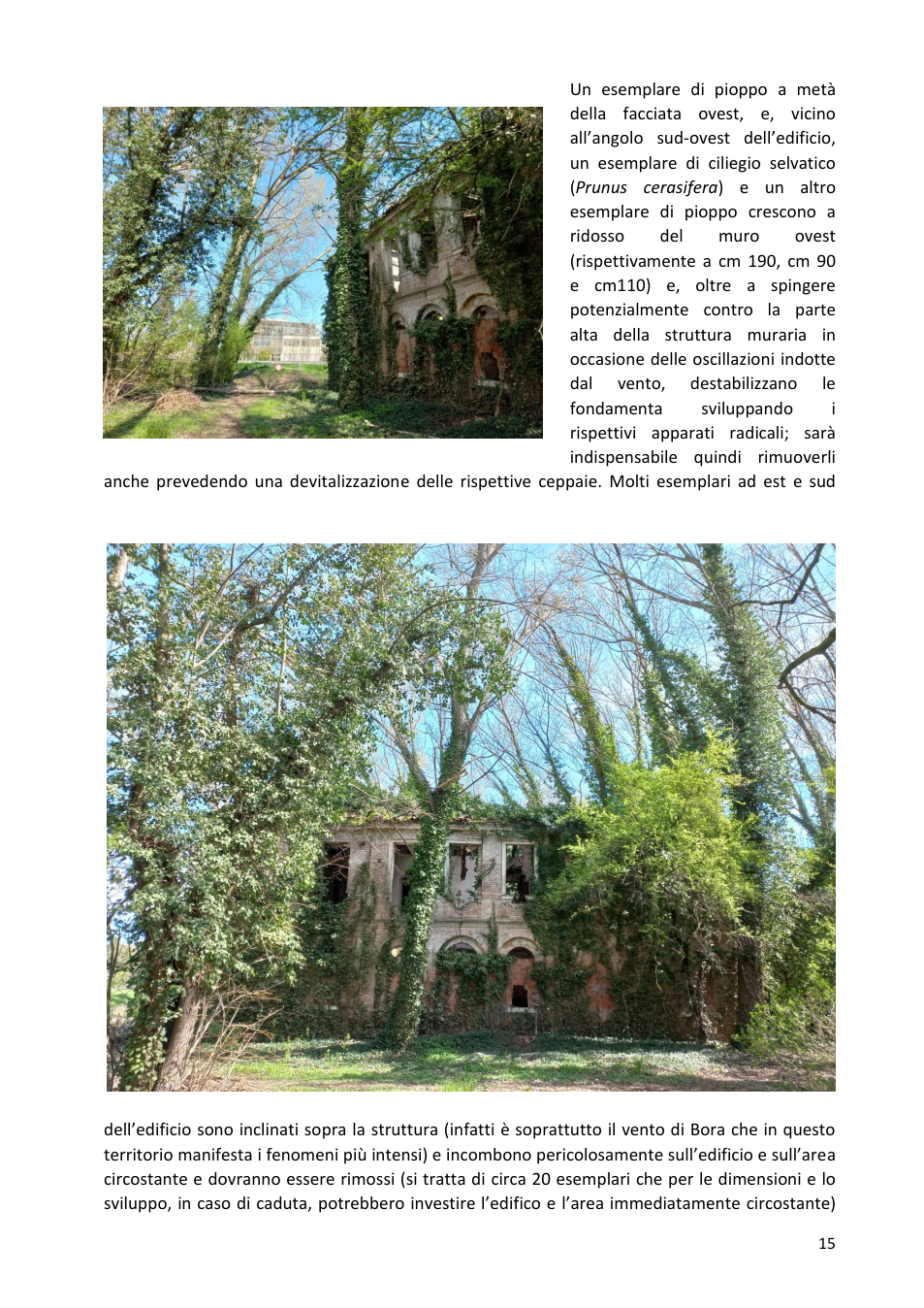 Pagina 15 del documento