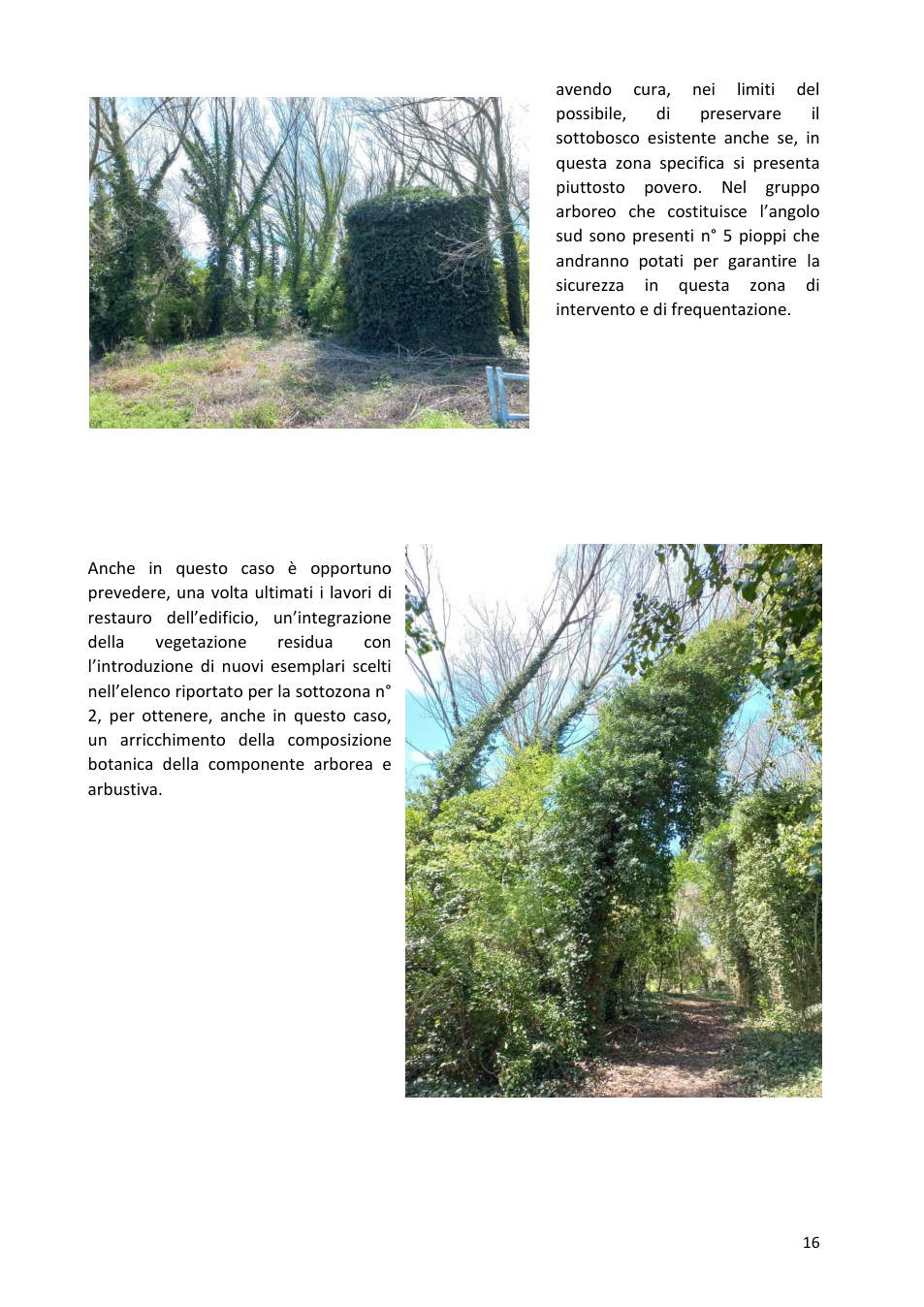 Pagina 16 del documento