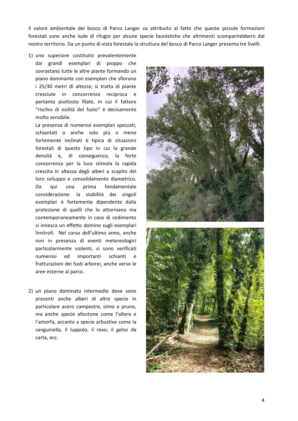 Pagina 4 del documento