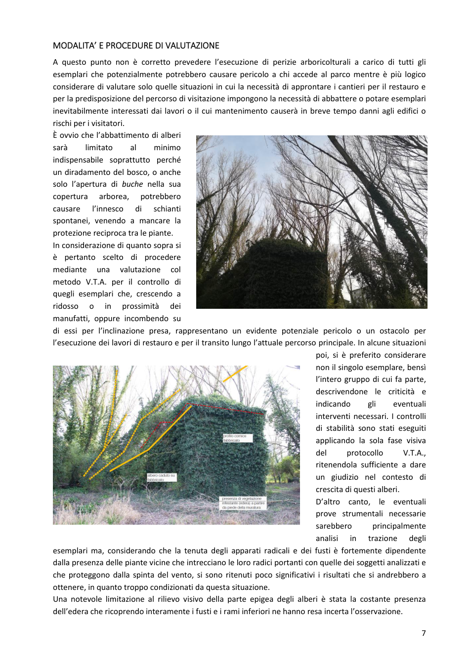 Pagina 7 del documento