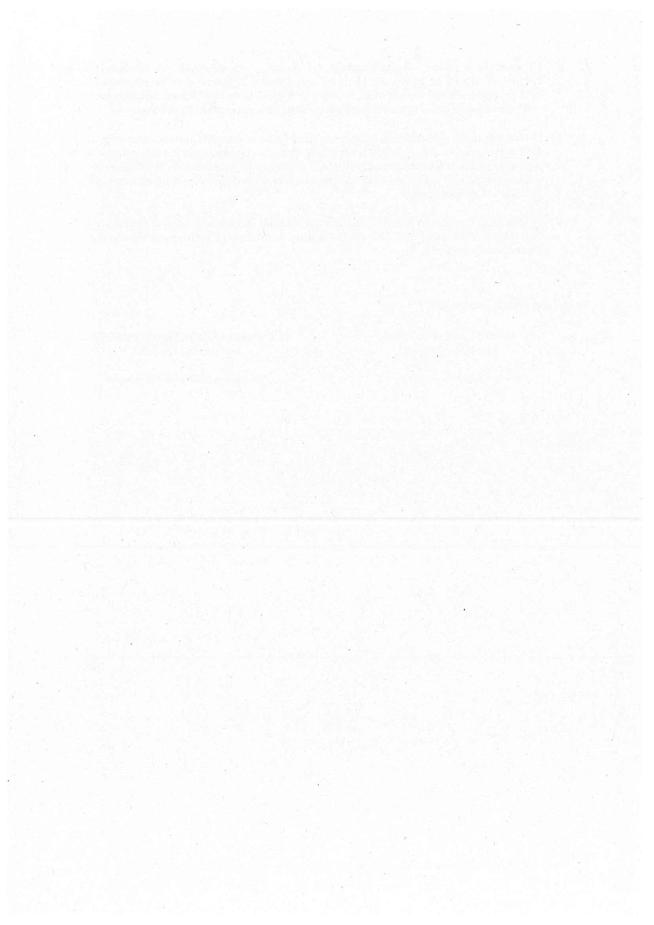 Pagina 8 del documento