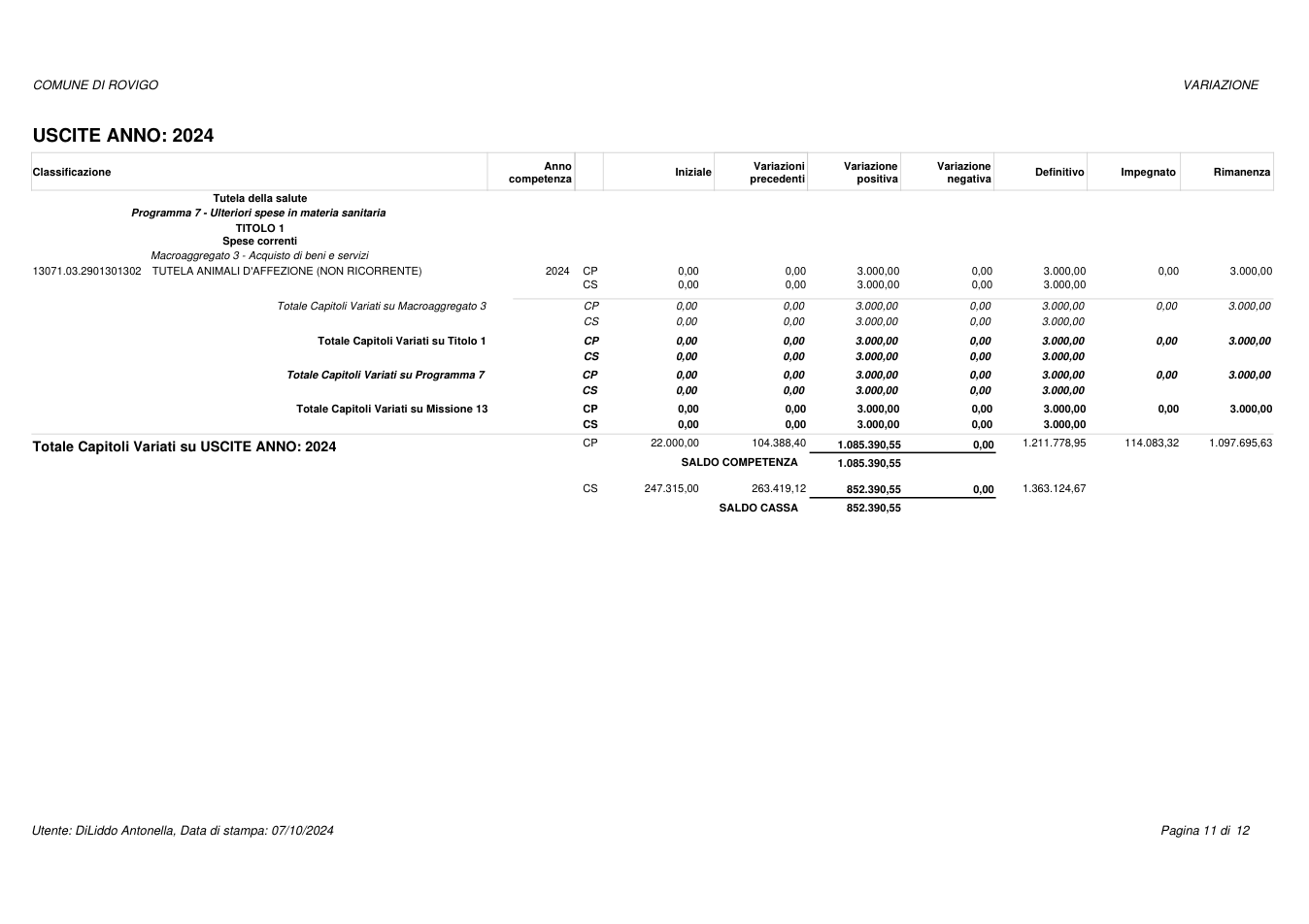 Pagina 11 del documento