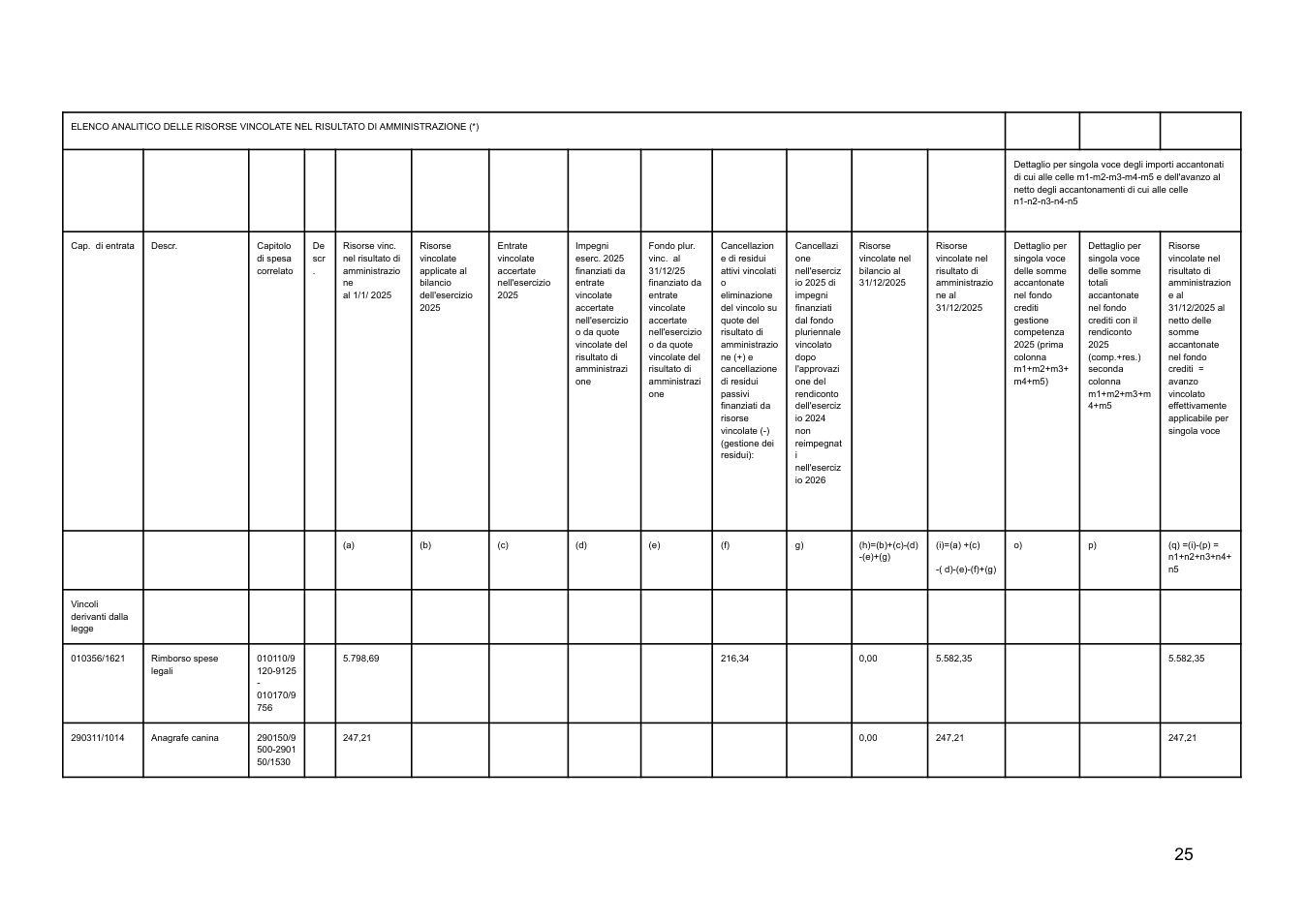 Pagina 25 del documento
