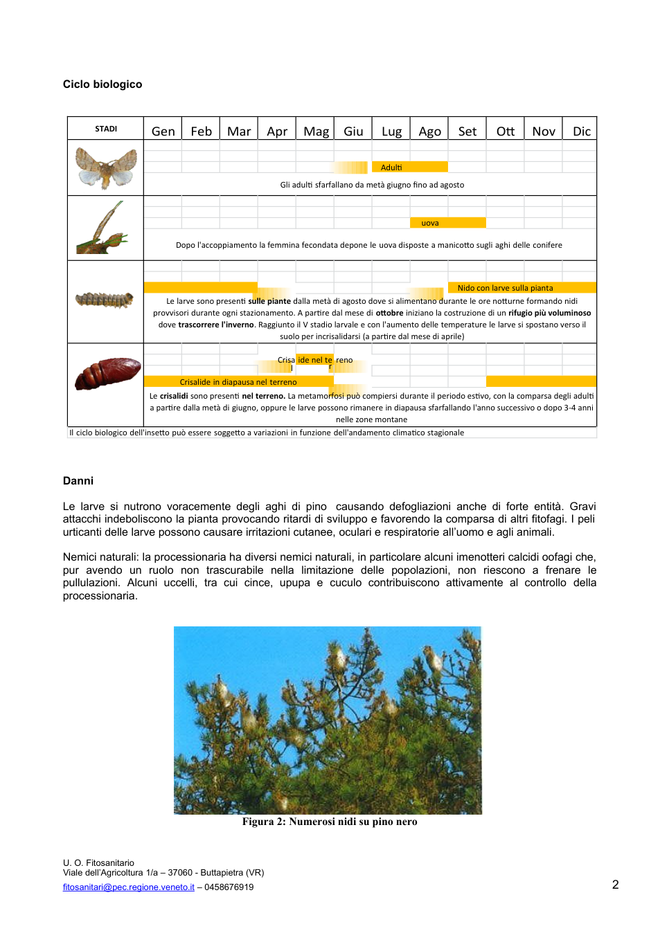 Pagina 2 del documento