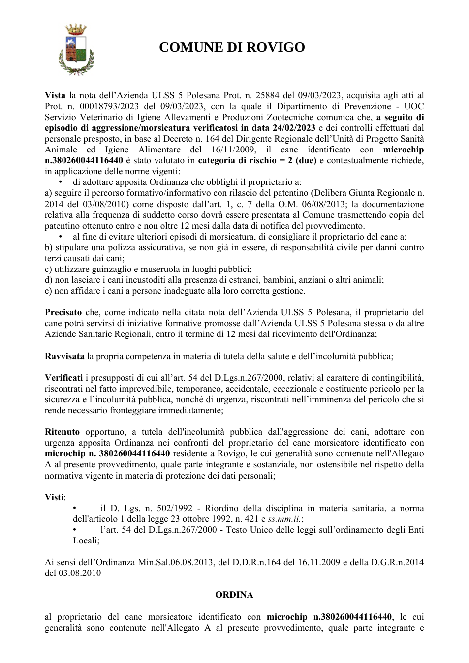 Pagina 3 del documento