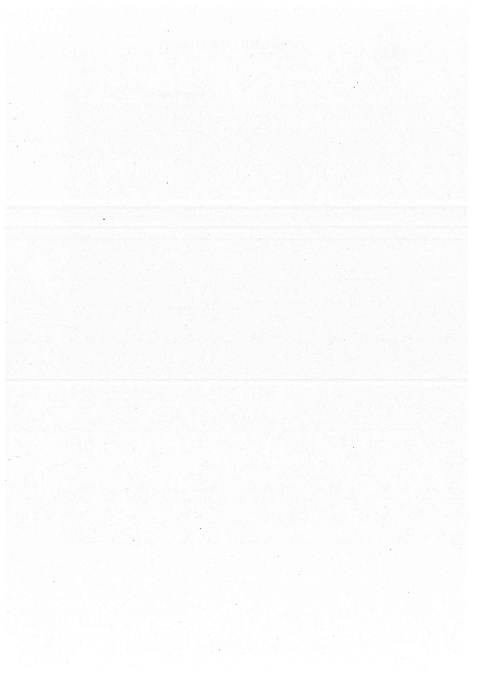 Pagina 4 del documento