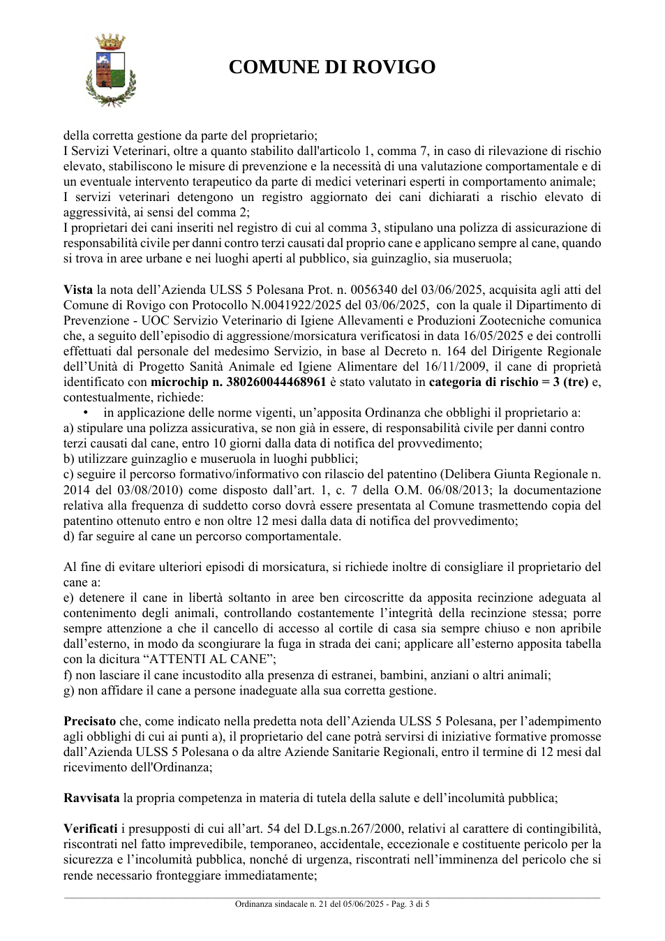 Pagina 3 del documento