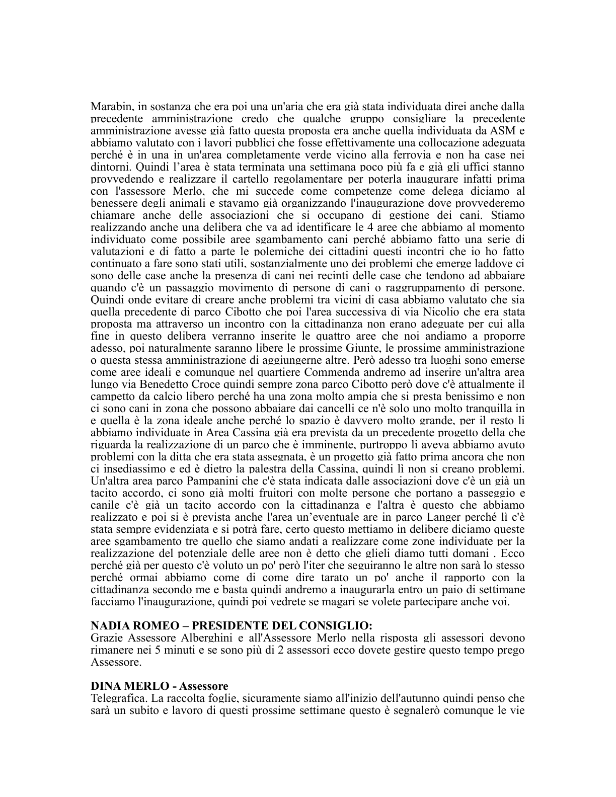Pagina 46 del verbale